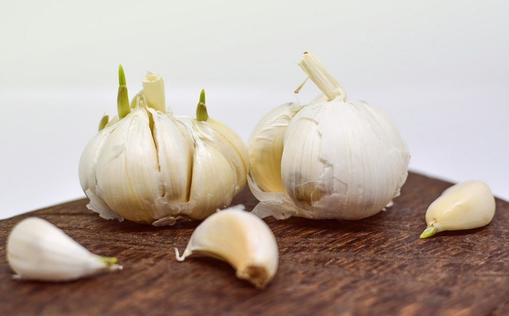 春天喝一碗蒸大蒜水,感冒咳嗽再也不用吃药~