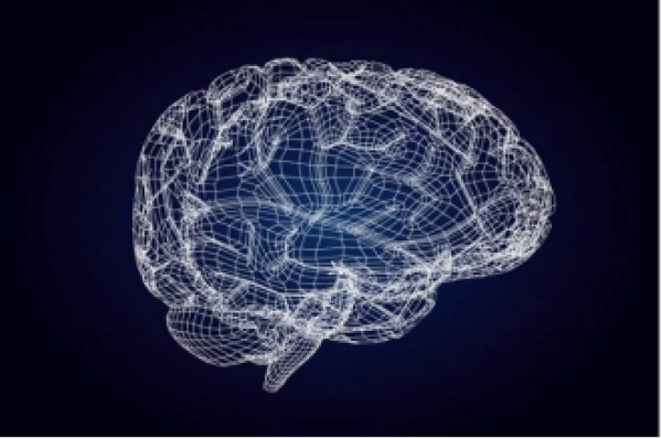 人的大脑潜能是无限的,很多心理学家认为,人的大脑只使用了3%,也有人