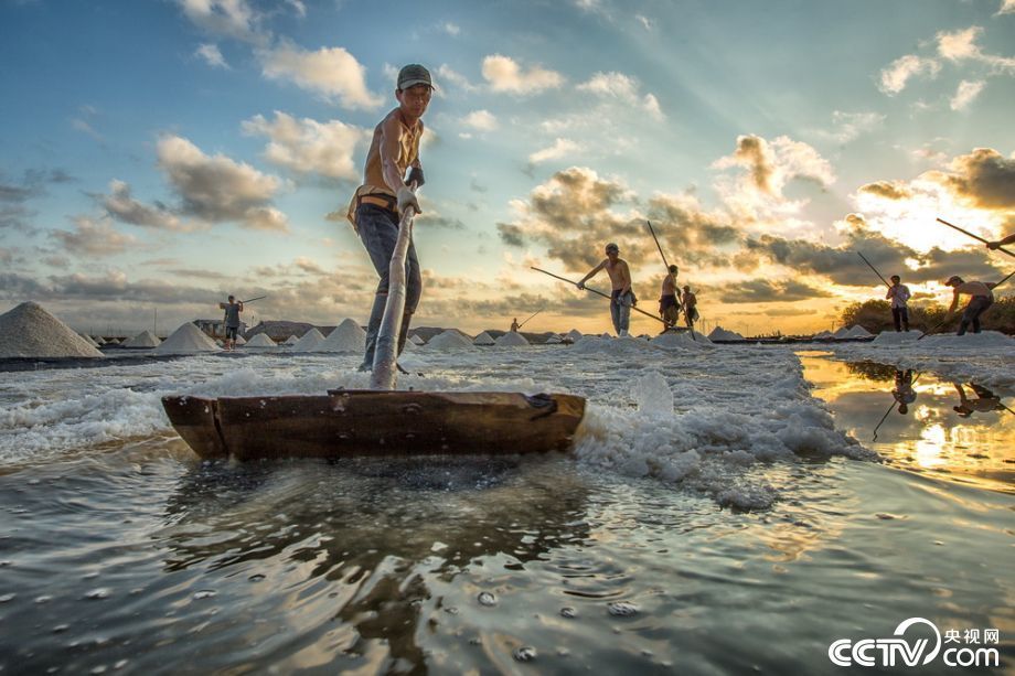 越南百里“银滩” 烈日下晒盐画面唯美 越南百里“银滩” 烈日下晒盐画面唯美
