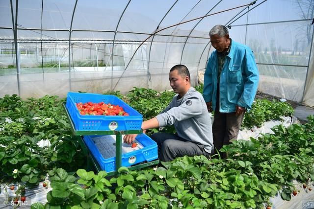 未来农村最值钱的是什么?不是土地也不是房屋