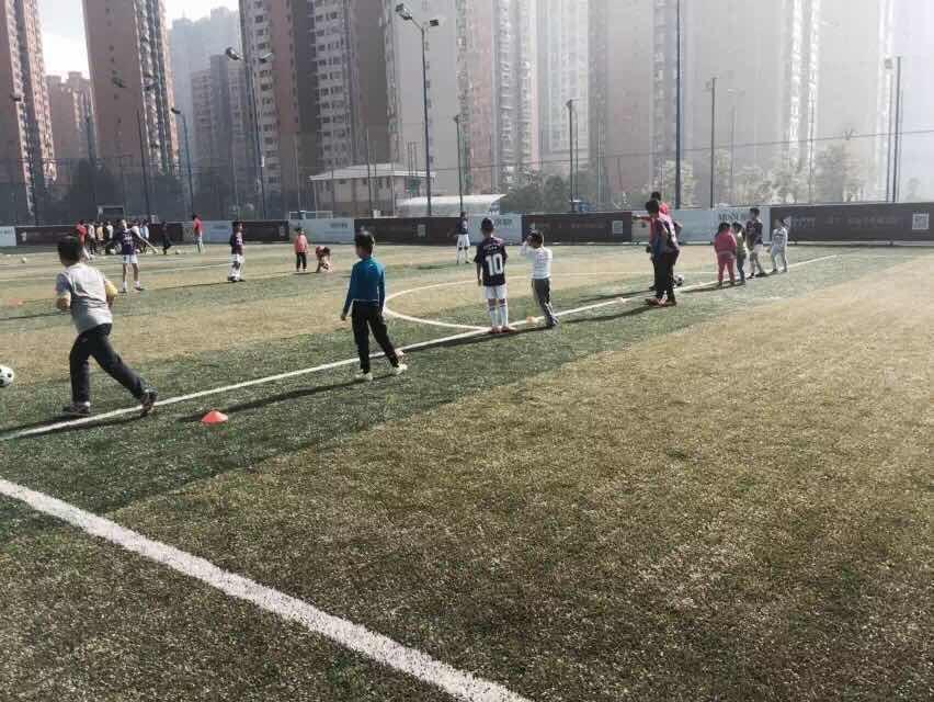并且我们了解到，在球场运行期间，该区域的中小学足球培训也在此进行，良好的场地条件受到欢迎。