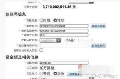 路见不平 晒99亿存款打脸郭美美 法拉利当做买