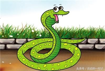 哪一年的生肖蛇是冬藏之蛇?晚年福运财运达天