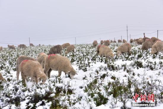 新疆将有雨雪大风 华北中南部大气扩散条件转差(图1) 新疆将有雨雪大风 华北中南部大气扩散条件转差(图1)
