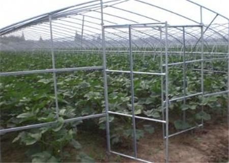 2018蔬大棚菜国家补贴标准是多少?4亩大棚一