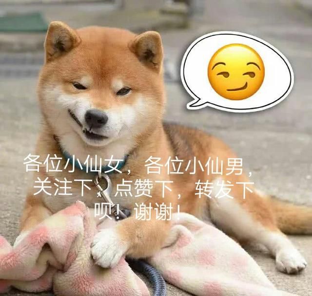 2018王者荣耀秋季赛预选赛:WF.D落榜,TS晋级