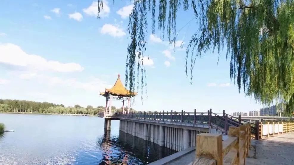 精心打造河道景观,顺义潮白、减河两岸“颜值”再提升! 精心打造河道景观,顺义潮白、减河两岸“颜值”再提升!