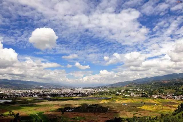 夫妻俩逃离香港,在大理造起一座玻璃房,随手一