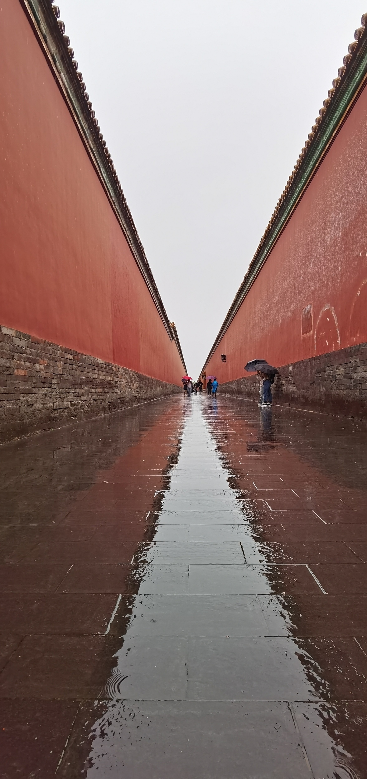 北京:雨中故宫呈现别样美景