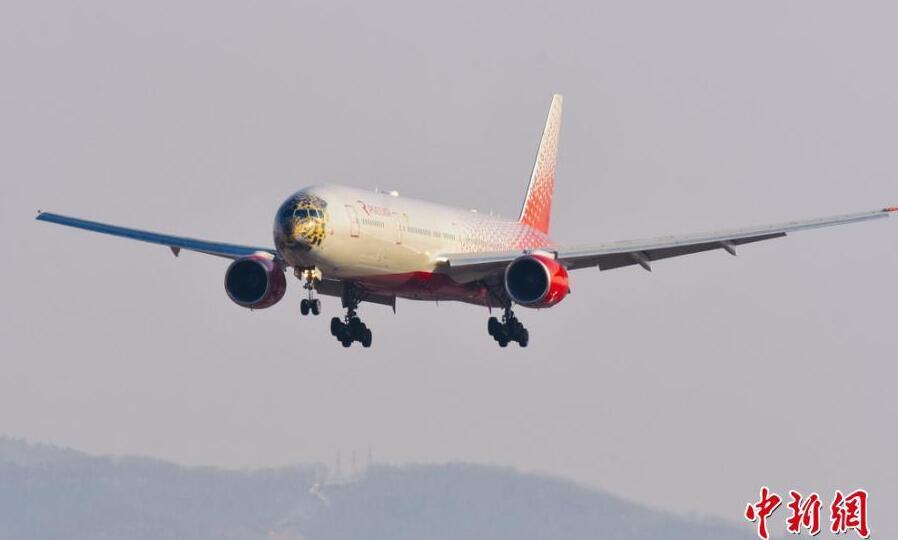 帅到爆表!俄航推远东豹彩绘飞机