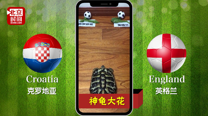 世界杯神龟疯狂预测:魔笛延续神奇进决赛 世界杯神龟疯狂预测:魔笛延续神奇进决赛