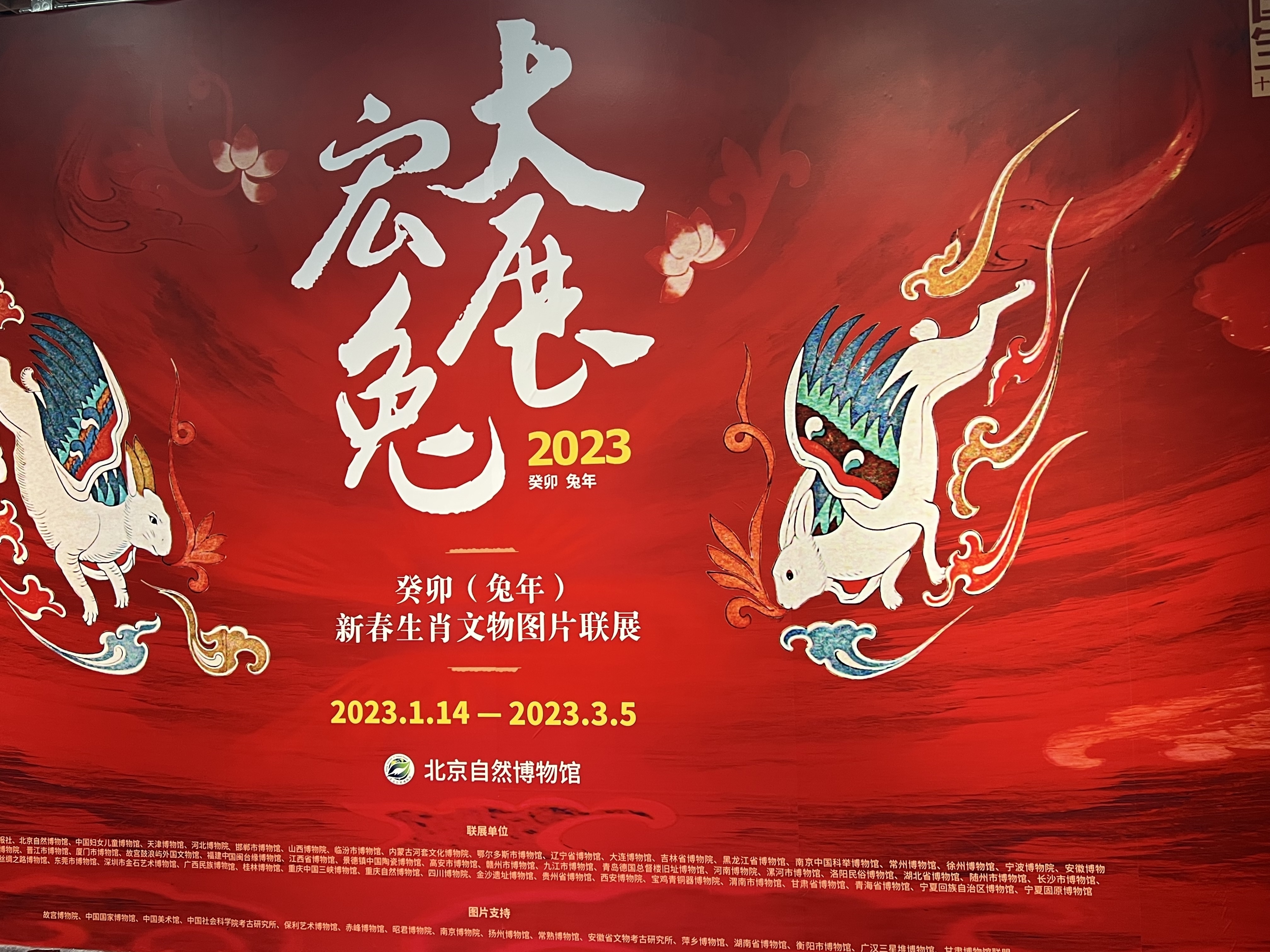 新春观展大展宏“兔” 新春观展大展宏“兔”