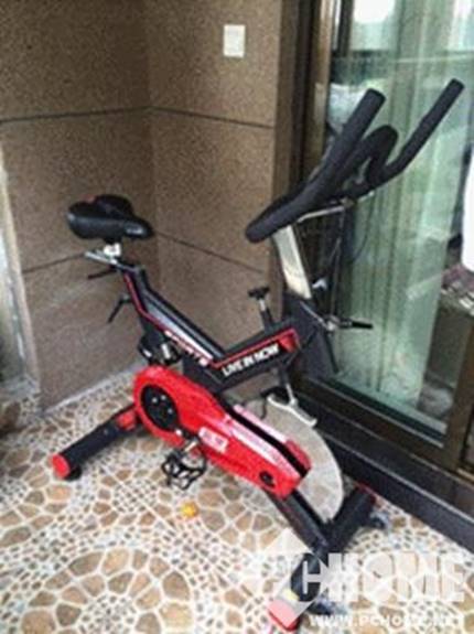 伊吉康和蓝堡健身车哪个牌子好