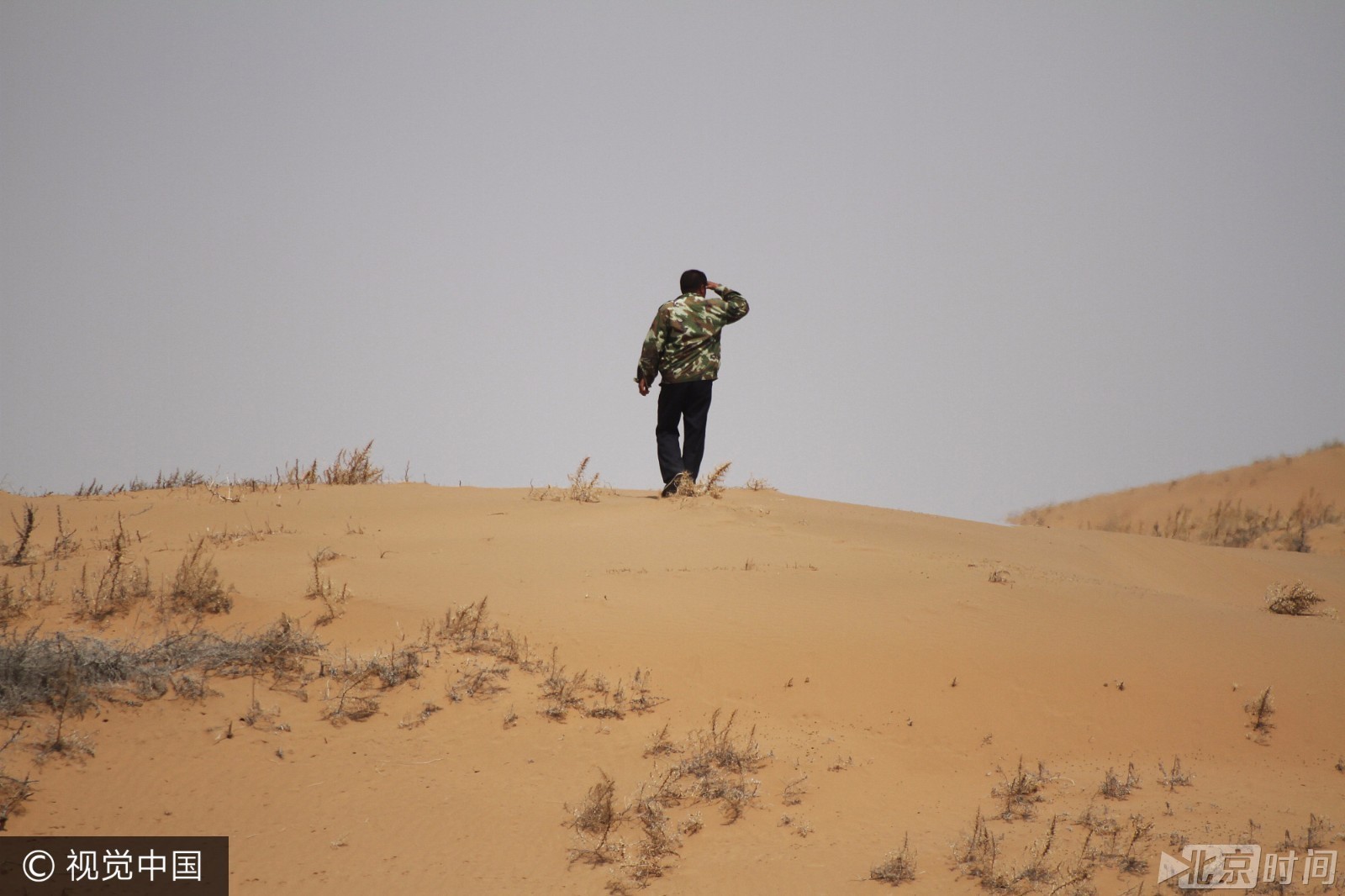 农民18年沙漠造林8000亩 把儿子葬沙漠守林