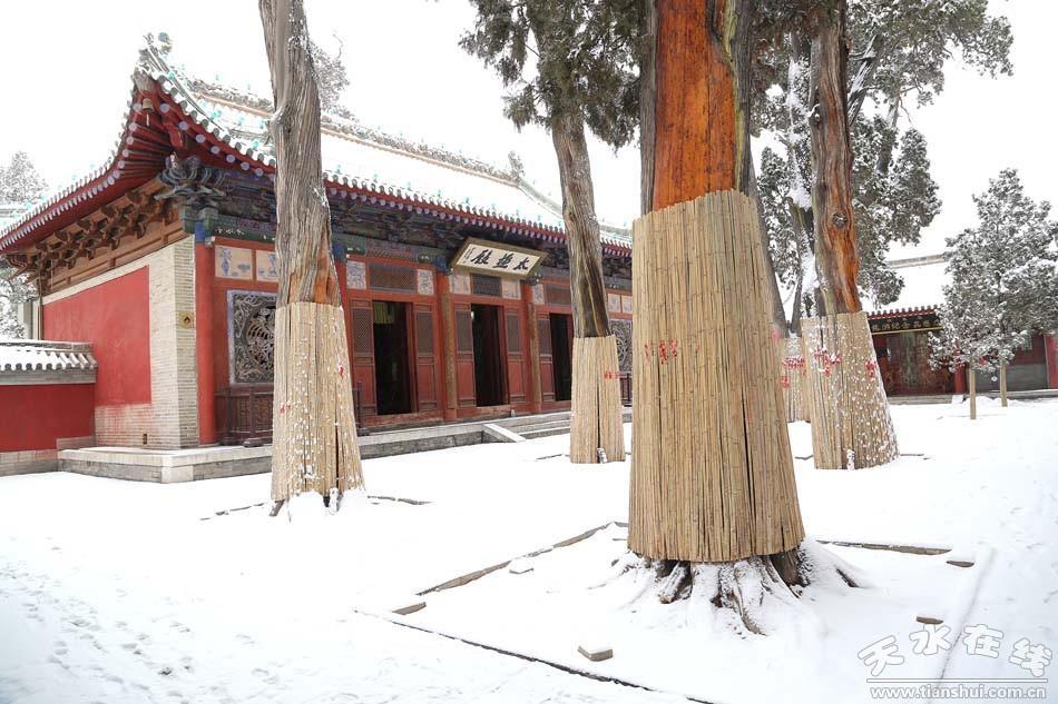 位于北山的皇城堡(隗嚣宫) 天水在线2015年11月26日航拍