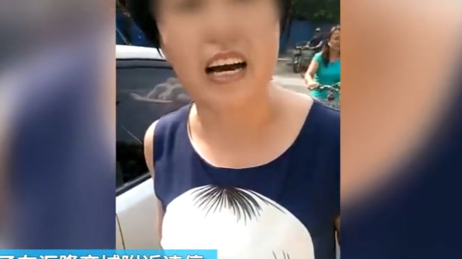 女子违停被劝阻怼交警：马路是你家的？