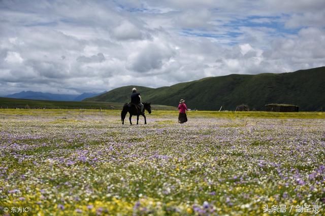 关于描写山的诗句,大气磅礴!