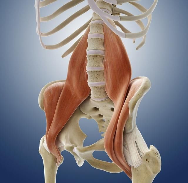 髂腰肌的拉伸方法