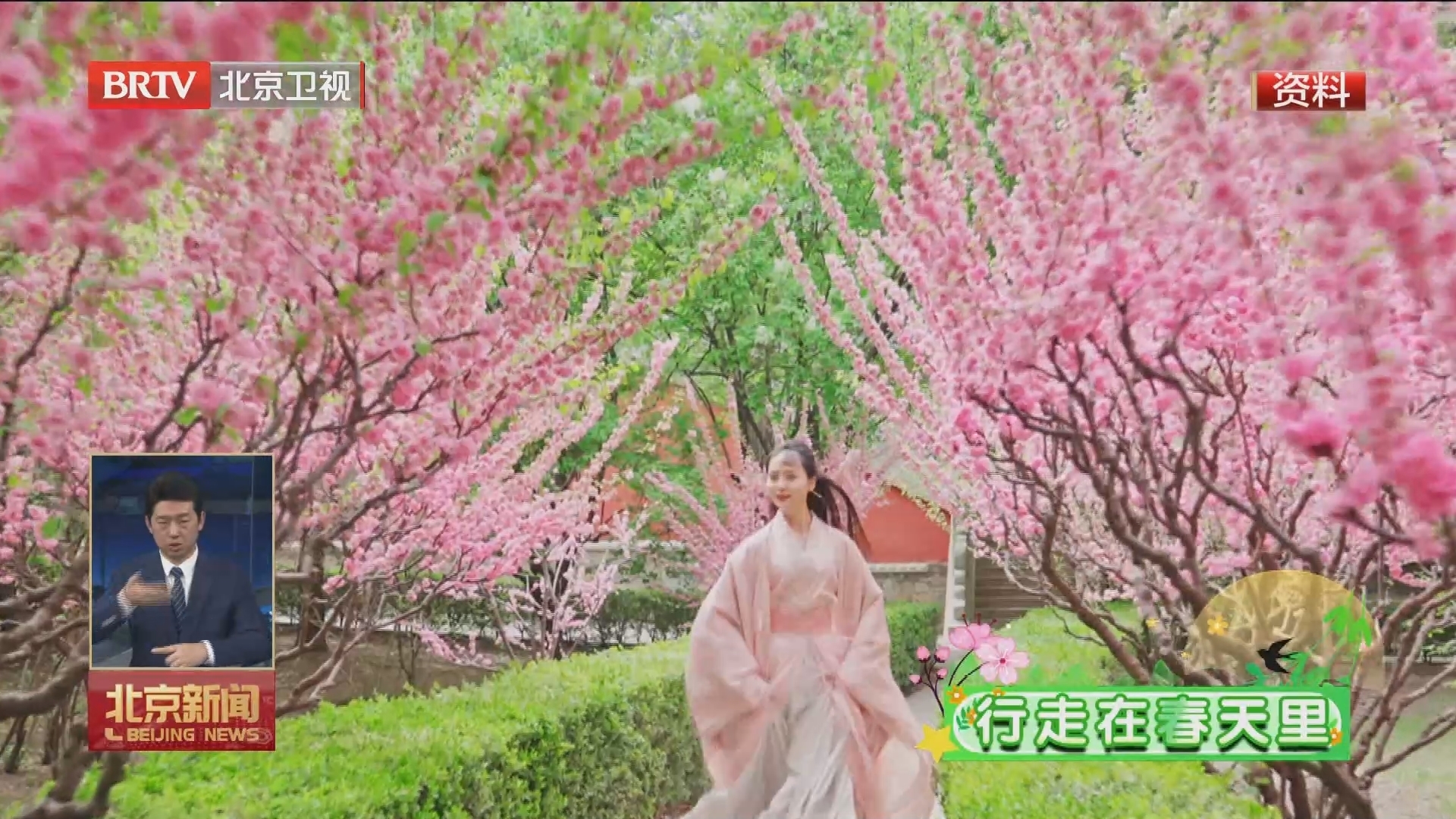 打造“赏花经济”消费新场景 2024京津冀消费季开门迎春系列活动启动
