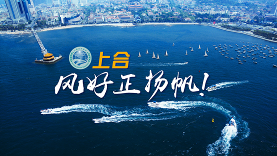 微视频｜上合，风好正扬帆！