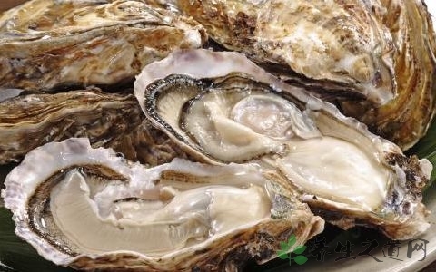 夏季男性补肾吃什么