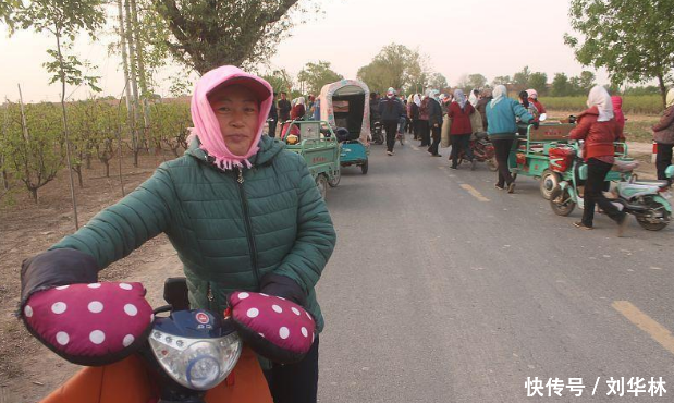 女儿远嫁3年, 突然打电话来说想吃凉拌茄子, 母