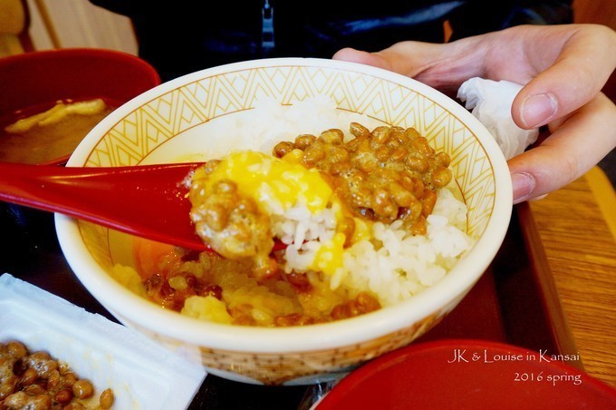 三月关西---京都、奈良、白滨、大阪、东京