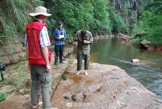 河滩出现怪脚印 竟是一亿年前恐龙足迹