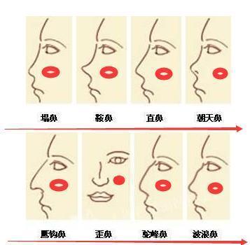 这6种 这6种