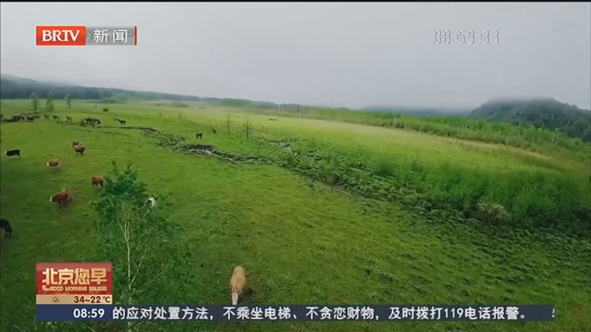 鄂伦春晨雾氤氲