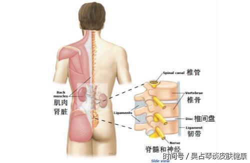 在回答这个问题之前