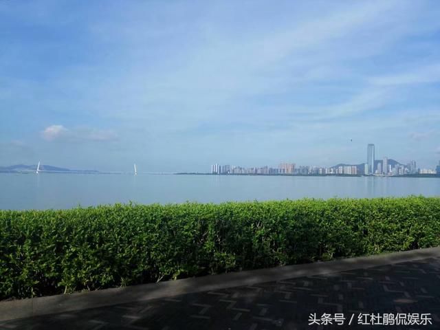 深圳湾跨海大桥,连接香港元朗与深圳蛇口,来深
