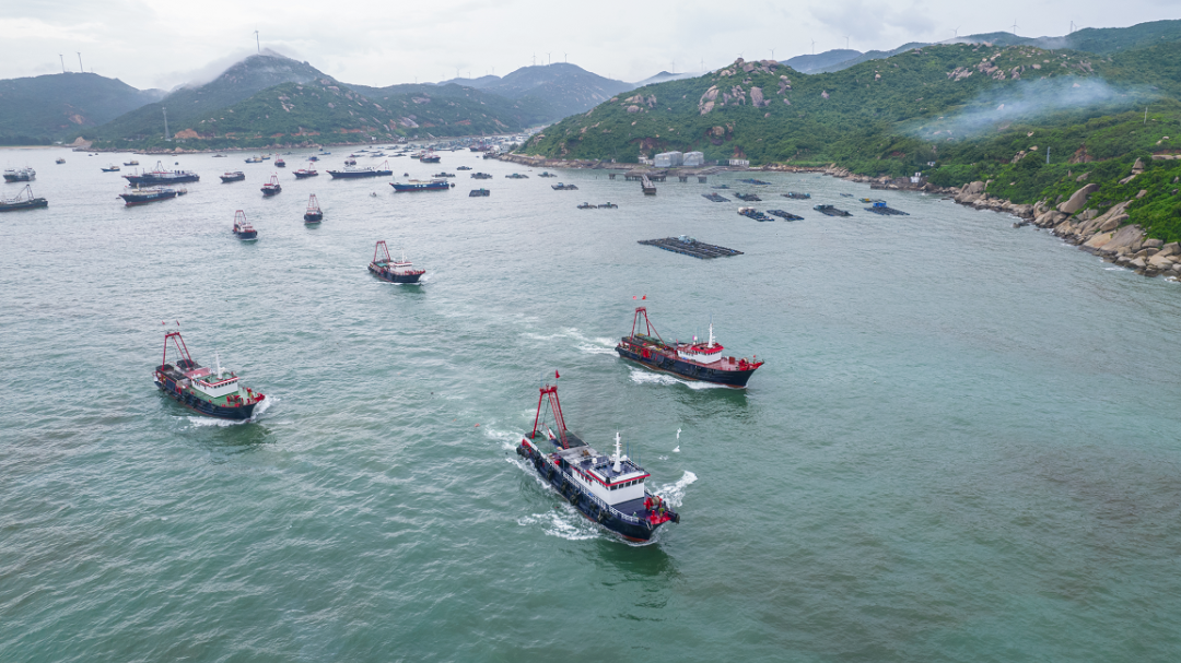 “高启强”卖的鱼,真的是“风浪越大,鱼越贵”吗? “高启强”卖的鱼,真的是“风浪越大,鱼越贵”吗?