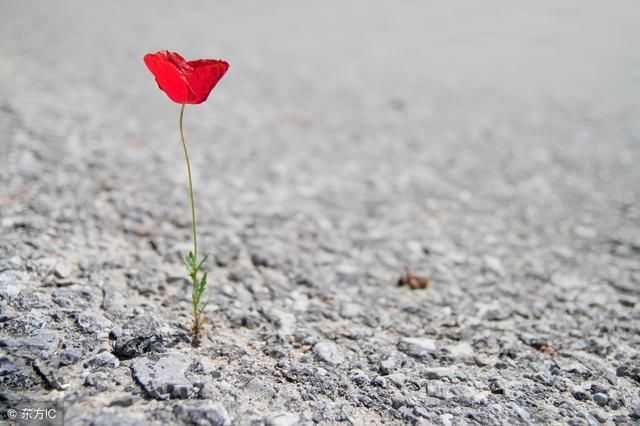 表达难舍难分的句子短语,哪句说出了你的心里