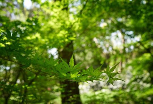 开启罪大滔天的拍摄模式,A7R3玩起来