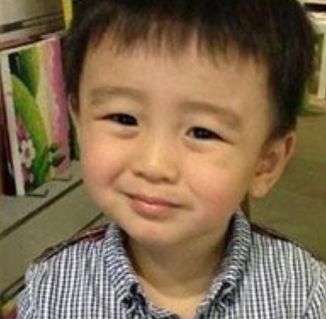 张柏芝再次拒绝复婚,谢霆锋彻底怒了:你到底想