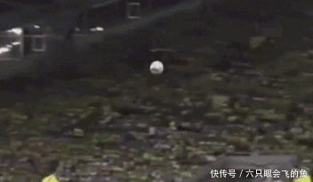 [八分钟运动]世界杯四分之一决赛今晚开踢 他们