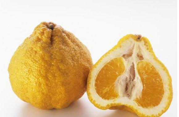 丑橘是转基因水果吗?这四类人最好别吃!