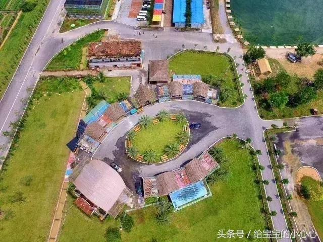 90后小姑娘身价10亿,有8000亩农场,起家靠的大