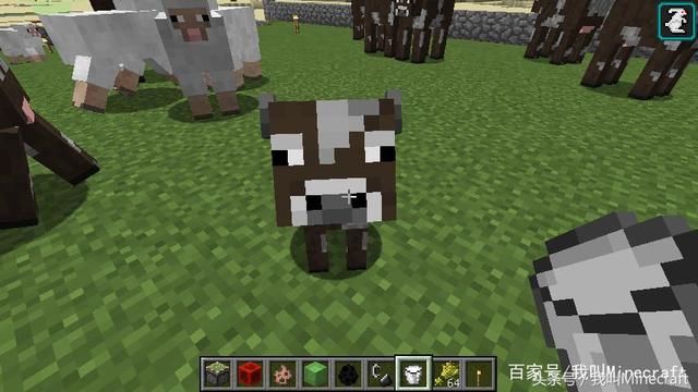 《我的世界》MC冷知识打假,牛奶真的可以让