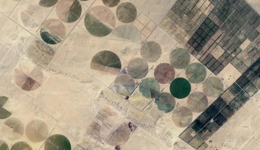 神奇!谷歌地图上发现的众多神秘人像!