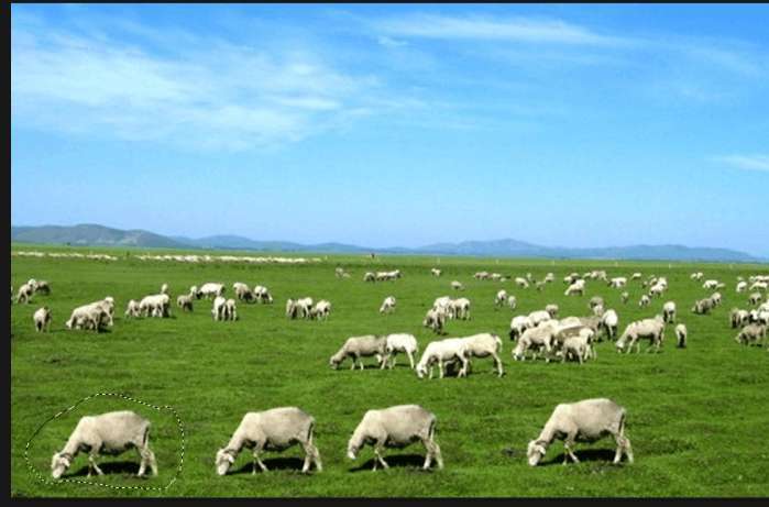 photoshop内容感知移动工具使用方法