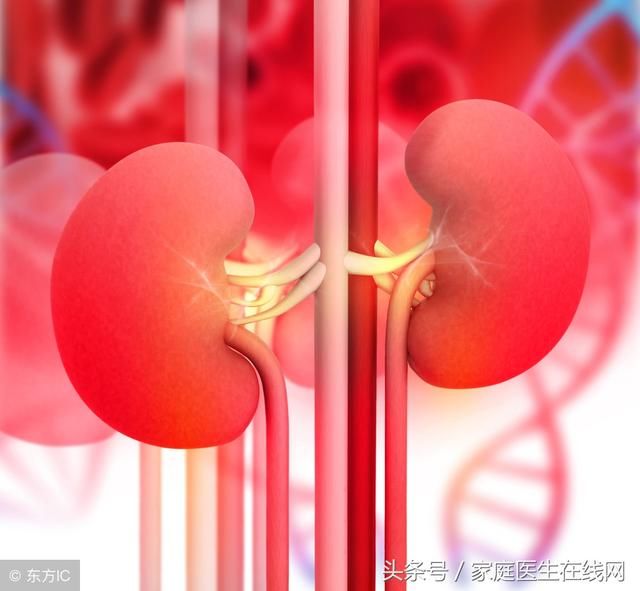 肾脏出问题,不仅仅是力不从心,还会有这4个表现