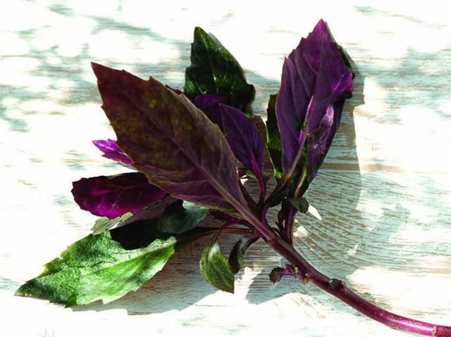 电视曝光:全身都"致癌"的蔬菜,快别买了,赶紧通知家里人!