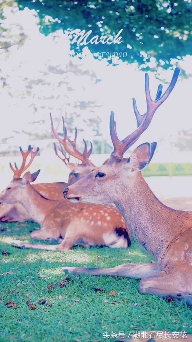 最容易办公室恋情的星座 可怕