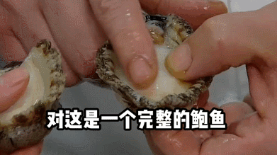 新鲜的鲍鱼清洗小妙招？