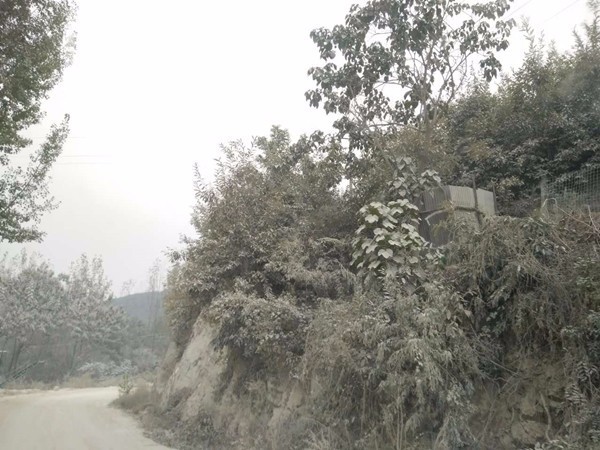 南召县皇后乡多家钙粉厂严重污染