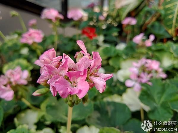 对标小米8SE,性能、颜值均有提升:360 N7 Pro