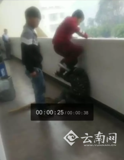 小学生被多名同学轮着暴打踢头 多次下跪求饶 小学生被多名同学轮着暴打踢头 多次下跪求饶