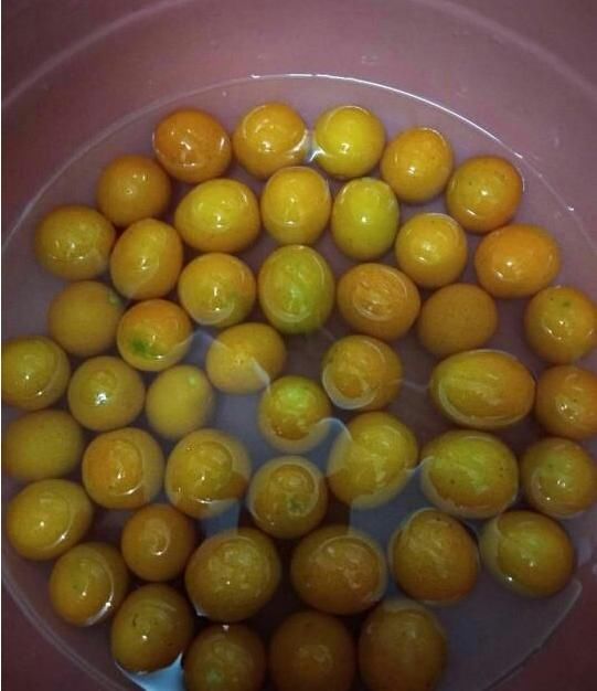 教你轻松制作金桔酱,宝宝止咳神器,润肺止咳,效